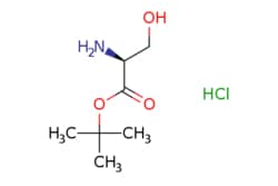eMolecules​&nbsp;Ambeed / H-Ser-Otbu.HCl / 100mg / 490516038 / A155621 /  / 106402-41-9 / MFCD00270570 / 197.660 / C7H16ClNO3