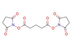 eMolecules​&nbsp;Ambeed / Bis(25-dioxopyrrolidin-1-yl) glutarate / 10mg / 598442872 / A880434 /  / 79642-50-5 / MFCD00153597 / 326.261 / C13H14N2O8