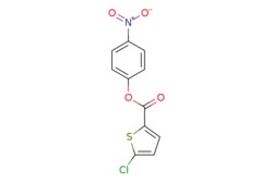 eMolecules​ Ambeed / 4-Nitrophenyl 5-chlorothiophene-2-carboxylate / 1g