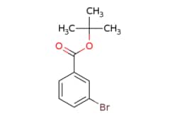 eMolecules​ Ambeed / tert-Butyl 3-Bromobenzoate / 1g / 490490260 / A104670
