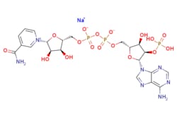 eMolecules​&nbsp;1184-16-3 | NADP sodium salt | Ambeed | MFCD00036973 | 765.390 | C21H27N7NaO17P3 | 4.000 | [Na+].NC(=O)c1ccc[n+](c1)[C@@H]1O[C@H](COP([O-])(=O)OP([O-])(=O)OC[C@H]2O[C@H]([C@H](OP(O)(O)=O)[C@@H]2O)n2cnc3c(N)ncnc23)[C@@H](O)[C@H]1O | 250mg | 552725869