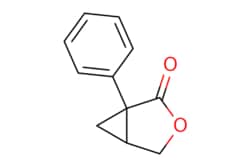 eMolecules​ Ambeed / 1-Phenyl-3-oxabicyclo[3.1.0]hexan-2-one / 1g / 628566944