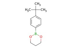 eMolecules​ Ambeed / 2-(4-(tert-Butyl)phenyl)-132-dioxaborinane / 250mg