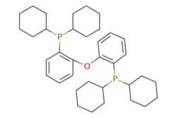 eMolecules​ Ambeed / (Oxybis(21-phenylene))bis(dicyclohexylphosphine) /