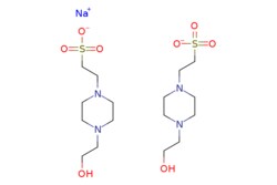 eMolecules​&nbsp;Ambeed / Sodium bis(2-(4-(2-hydroxyethyl)piperazin-1-yl)ethanesulfonate) / 5g / 600829547 / A131421 /  / 103404-87-1 / [null] / 497.580 / C16H34N4NaO8S2