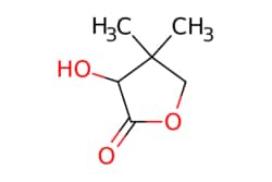 eMolecules​ Ambeed / 3-Hydroxy-44-dimethyldihydrofuran-2(3H)-one / 10g