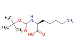 eMolecules​&nbsp;ChemScene / Boc-Lys-OH / 2g / 791178953 / CS-W007618 / 0.000 / 13734-28-6 / MFCD00038203 / 246.307 / C11H22N2O4