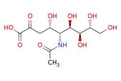 eMolecules​&nbsp;Ambeed / (4S5R6R7S8R)-5-Acetamido-46789-pentahydroxy-2-oxononanoic acid / 1g / 525017556 / A119785 /  / 131-48-6 / MFCD23134617 / 309.271 / C11H19NO9