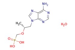 eMolecules​ Ambeed / (R)-(((1-(6-Amino-9H-purin-9-yl)propan-2-yl)oxy)methyl)phosphonic
