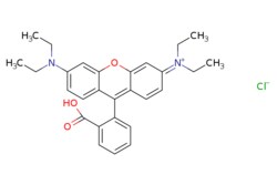 eMolecules​&nbsp;Ambeed / 9-(2-Carboxyphenyl)-36-bis(diethylamino)xanthylium chloride / 1g / 595930667 / A951578 /  / 81-88-9 / MFCD00011931 / 479.020 / C28H31ClN2O3