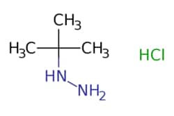 eMolecules​ Ambeed / tert-Butylhydrazine hydrochloride / 1g / 534082867