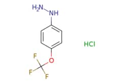 eMolecules​ Ambeed / (4-(Trifluoromethoxy)phenyl)hydrazine hydrochloride