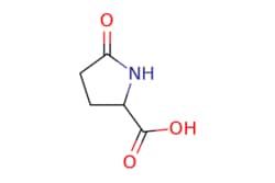 eMolecules​ Ambeed / 5-Oxopyrrolidine-2-carboxylic acid / 25g / 525041895