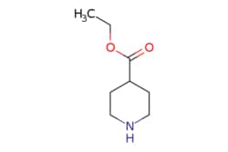 eMolecules​ Ambeed / Ethyl piperidine-4-carboxylate / 5g / 552565281 /