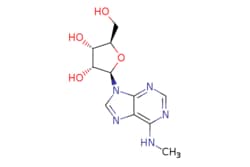 eMolecules​ Ambeed / (2R3S4R5R)-2-(Hydroxymethyl)-5-(6-(methylamino)-9H-purin-9-yl)tetrahydrofuran-34-diol
