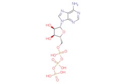 eMolecules​ Ambeed / ((2R3S4R5R)-5-(6-Amino-9H-purin-9-yl)-34-dihydroxytetrahydrofuran-2-yl)methyl