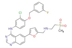 eMolecules​ Ambeed / N-(3-Chloro-4-((3-fluorobenzyl)oxy)phenyl)-6-(5-(((2-(methylsulfonyl)ethyl)amino)methyl)furan-2-yl)quinazolin-4-amine