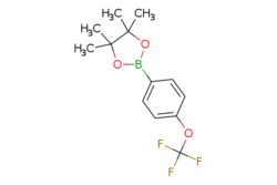eMolecules​ Ambeed / 4455-Tetramethyl-2-(4-(trifluoromethoxy)phenyl)-132-dioxaborolane