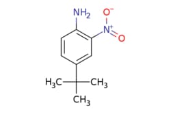 eMolecules​ 6310-19-6 | ChemScene | 4-(tert-Butyl)-2-nitroaniline | 1g