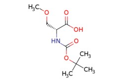 eMolecules​ Ambeed / (R)-2-((tert-Butoxycarbonyl)amino)-3-methoxypropanoic