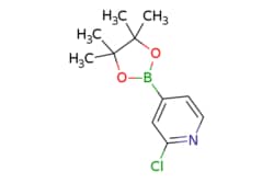 eMolecules​&nbsp;458532-84-8 | 2-Chloro-4-(4,4,5,5-tetramethyl-1,3,2-dioxaborolan-2-yl)pyridine | Ambeed | MFCD04039870 | 239.510 | C11H15BClNO2 | 97.000 | CC1(C)OB(OC1(C)C)c1ccnc(Cl)c1 | 100mg | 552636114