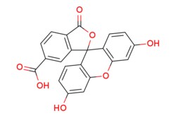 eMolecules​&nbsp;Ambeed / 36-Dihydroxy-3-oxo-3H-spiro[isobenzofuran-19-xanthene]-6-carboxylic acid / 1mg / 719807191 / A135997 /  / 3301-79-9 / MFCD00036873 / 376.320 / C21H12O7