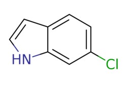 eMolecules​ Ambeed / 6-Chloro-1H-indole / 1g / 552571585 / A136917 / /