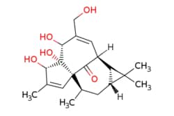 eMolecules​ Ambeed / (1aR2S5R5aR6S8aS9R10aR)-55a6-Trihydroxy-4-(hydroxymethyl)-1179-tetramethyl-1a255a691010a-octahydro-1H-28a-methanocyclopenta[a]cyclopropa[e][10]annulen-11-one