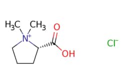 eMolecules​&nbsp;ChemScene / Stachydrine hydrochloride / 1g / 486162509 / CS-W020707 / 0.000 / 4136-37-2 / MFCD21609192 / 179.640 / C7H14ClNO2