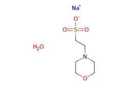 eMolecules​ Ambeed / Sodium 2-Morpholinoethanesulfonate Monohydrate / 5g