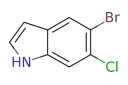 eMolecules​ Ambeed / 5-Bromo-6-chloro-1H-indole / 100mg / 552532116 / A111477