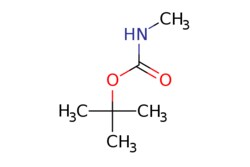 eMolecules​ Ambeed / tert-Butyl methylcarbamate / 1g / 525030710 / A127959