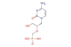 eMolecules​ Ambeed / (S)-(((1-(4-Amino-2-oxopyrimidin-1(2H)-yl)-3-hydroxypropan-2-yl)oxy)methyl)phosphonic