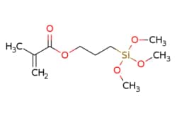 eMolecules​ Ambeed / 3-(Trimethoxysilyl)propyl methacrylate / 25g / 525056544