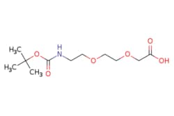eMolecules​&nbsp;Ambeed / 22-Dimethyl-4-oxo-3811-trioxa-5-azatridecan-13-oic acid / 250mg / 552609669 / A167750 /  / 108466-89-3 / MFCD17019374 / 263.290 / C11H21NO6