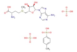 eMolecules​ Ambeed / ((S)-3-Amino-3-carboxypropyl)(((2S3S4R5R)-5-(6-amino-9H-purin-9-yl)-34-dihydroxytetrahydrofuran-2-yl)methyl)(methyl)sulfonium