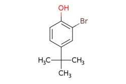 eMolecules​ Ambeed / 2-Bromo-4-tert-butylphenol / 1g / 490545810 / A261787 /  / 2198-66-5 / MFCD02682891 / 229.117 / C10H13BrO