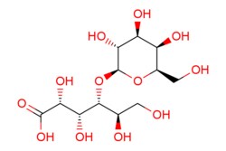 eMolecules​ Ambeed / (2R3R4R5R)-2356-Tetrahydroxy-4-(((2S3R4S5R6R)-345-trihydroxy-6-(hydroxymethyl)tetrahydro-2H-pyran-2-yl)oxy)hexanoic