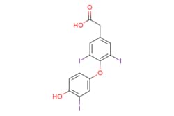 eMolecules​ Ambeed / 2-(4-(4-Hydroxy-3-iodophenoxy)-35-diiodophenyl)acetic