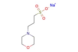 eMolecules​&nbsp;71119-22-7 | MOPS sodium salt | Ambeed | MFCD00064350 | 231.240 | C7H14NNaO4S | 97.000 | [Na+].[O-]S(=O)(=O)CCCN1CCOCC1 | 5g | 553633405