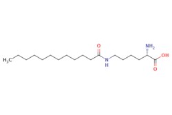 eMolecules​ Ambeed / (S)-2-Amino-6-dodecanamidohexanoic acid / 1g / 602852913