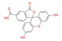 eMolecules​ Ambeed / 36-Dihydroxy-3-oxo-3H-spiro[isobenzofuran-19-xanthene]-5-carboxylic