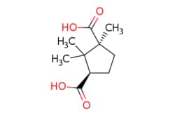 eMolecules​ Ambeed / (1S3R)-122-Trimethylcyclopentane-13-dicarboxylic acid / 250mg / 525162740 / A266657 /  / 560-09-8 / [null] / 200.234 / C10H16O4