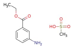 eMolecules​ Ambeed / Ethyl 3-aminobenzoate methanesulfonate / 5g / 490544826