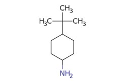 eMolecules​&nbsp;5400-88-4 | 4-(tert-Butyl)cyclohexanamine | Ambeed | MFCD00013763 | 155.285 | C10H21N | 95.000 | CC(C)(C)C1CCC(N)CC1 | 1g | 588341168