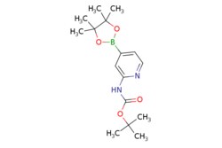 eMolecules​ Ambeed / tert-Butyl (4-(4455-tetramethyl-132-dioxaborolan-2-yl)pyridin-2-yl)carbamate / 100mg / 506388599 / A155552 /  / 1095708-32-9 / MFCD12032217 / 320.200 / C16H25BN2O4