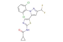 eMolecules​ Ambeed / N-(5-(1-(26-Dichlorophenyl)-3-(difluoromethyl)-1H-pyrazol-5-yl)thiazol-2-yl)cyclopropanecarboxamide