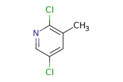 eMolecules​ Ambeed / 25-Dichloro-3-methylpyridine / 1g / 490540422 / A234661