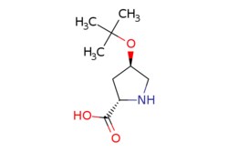 eMolecules​ Ambeed / H-Hyp(tBu)-OH / 250mg / 525083138 / A166727 / / 79775-07-8