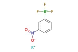 eMolecules​ Ambeed / Potassium trifluoro(3-nitrophenyl)borate / 1g / 491659413